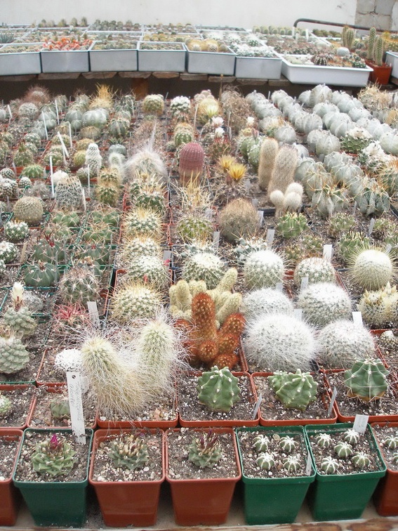 Коллекция Юрия Норенко (Бровары)