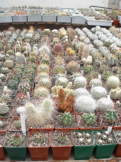 Коллекция Юрия Норенко (Бровары)