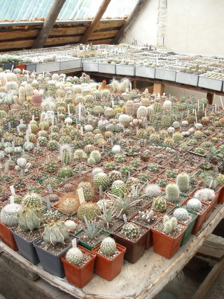 Коллекция Юрия Норенко (Бровары)