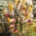 IMG_3591.JPG