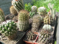 Фото коллекции В.М. Павлика (г. Жашков)