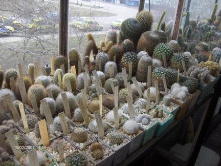 Коллекция Галина Радкова (Варна, Болгария)