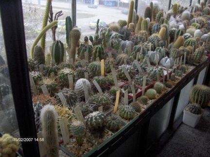 Коллекция Галина Радкова (Варна, Болгария)