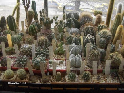 Коллекция Галина Радкова (Варна, Болгария)