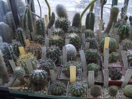 Коллекция Галина Радкова (Варна, Болгария)