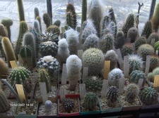 Коллекция Галина Радкова (Варна, Болгария)