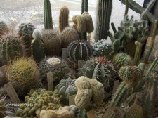 Коллекция Галина Радкова (Варна, Болгария)