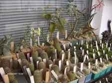 Коллекция Галина Радкова (Варна, Болгария)