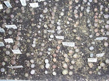 Коллекция Галина Радкова (Варна, Болгария)