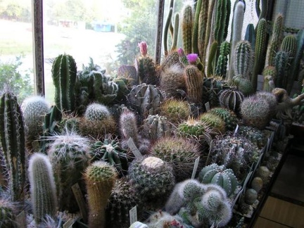 Коллекция Галина Радкова (Варна, Болгария)