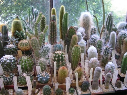 Коллекция Галина Радкова (Варна, Болгария)