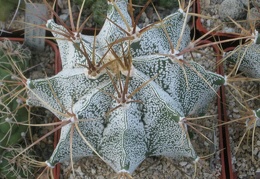  330