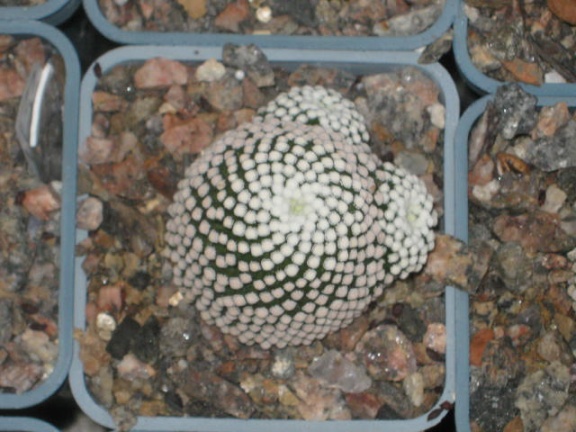  361
