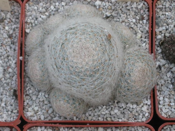  390