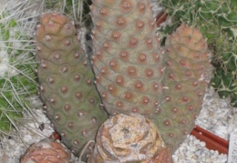  394