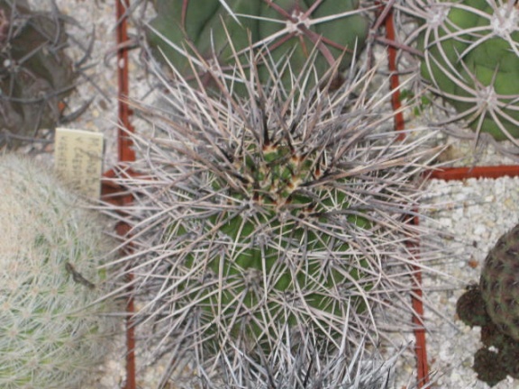  395