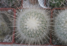  406