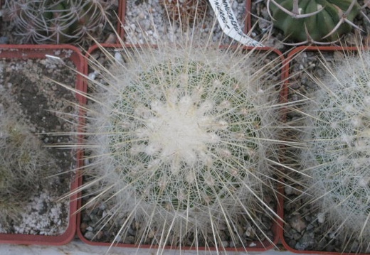  406