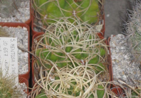  430