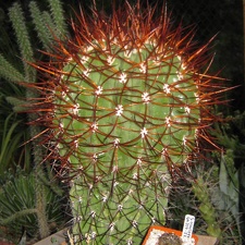  469