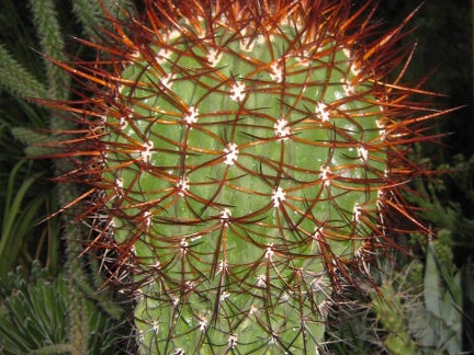  469