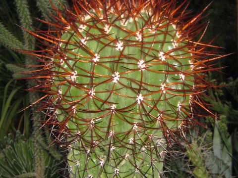  469