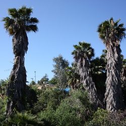 Фото коллекции Steven Hammer (США)