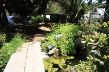 Коллекция суккулентов Стивена Хаммера (США, Калифорния, Виста)