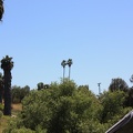 IMG_1393.jpg