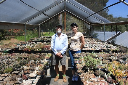 Коллекция суккулентов Стивена Хаммера (США, Калифорния, Виста)