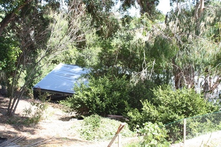 Коллекция суккулентов Стивена Хаммера (США, Калифорния, Виста)