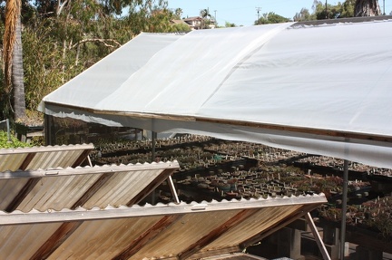 Коллекция суккулентов Стивена Хаммера (США, Калифорния, Виста)