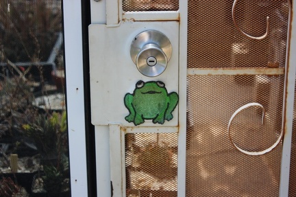 Коллекция суккулентов Стивена Хаммера (США, Калифорния, Виста)