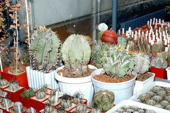 Коллекция Игоря и Елены Сытник (Харьков)