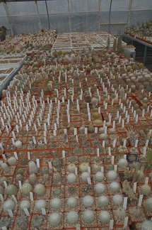 Коллекция Игоря и Елены Сытник (Харьков)