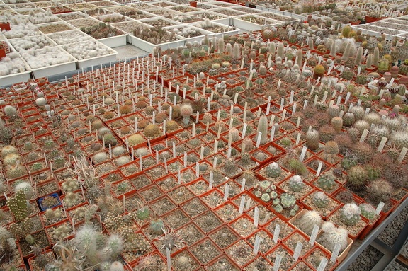 Коллекция Игоря и Елены Сытник (Харьков)