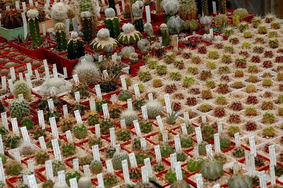 Коллекция Игоря и Елены Сытник (Харьков)