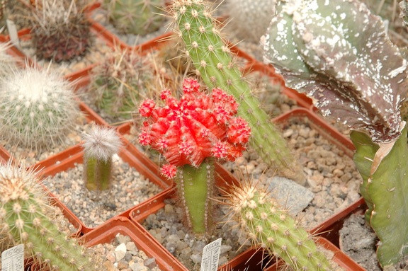 Коллекция Игоря и Елены Сытник (Харьков)