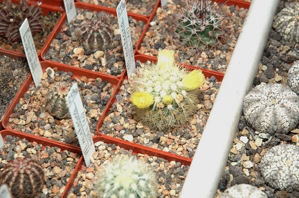 Коллекция Игоря и Елены Сытник (Харьков)