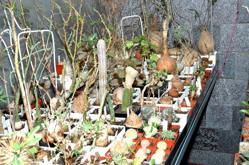 DSC_1382.jpg