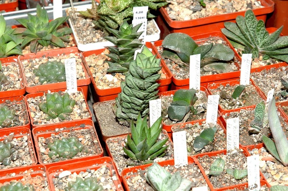 Коллекция Игоря и Елены Сытник (Харьков)