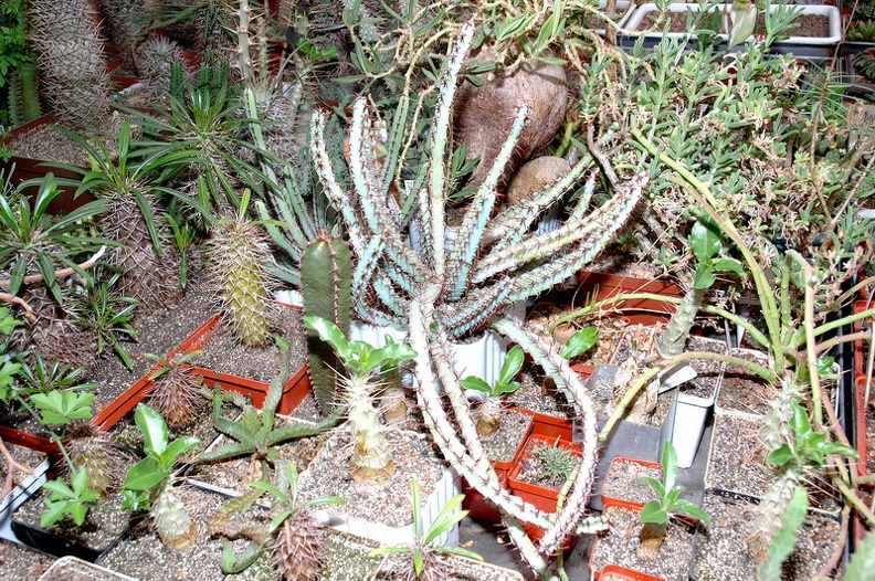 DSC_1395.jpg