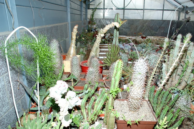 DSC_1396.jpg