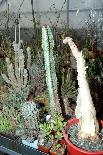 DSC_1400.jpg