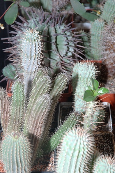 DSC_1402.jpg