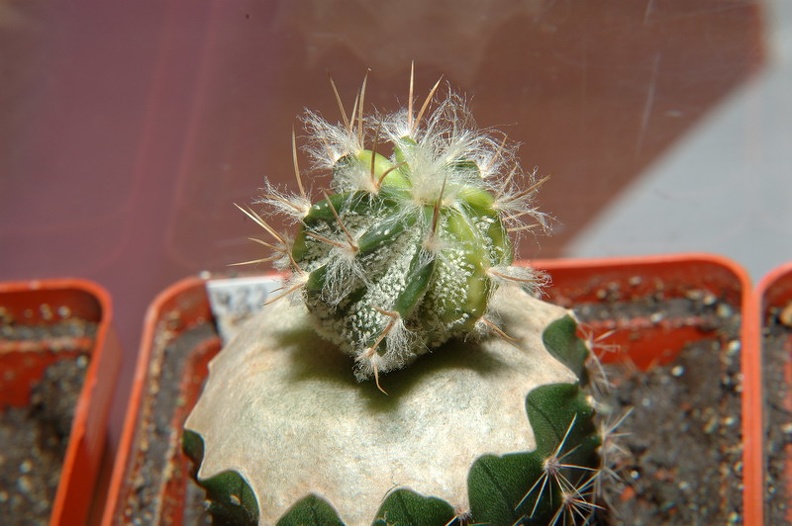 DSC_1430.jpg