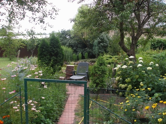 Коллекция Александра Животенко (Ирпень)