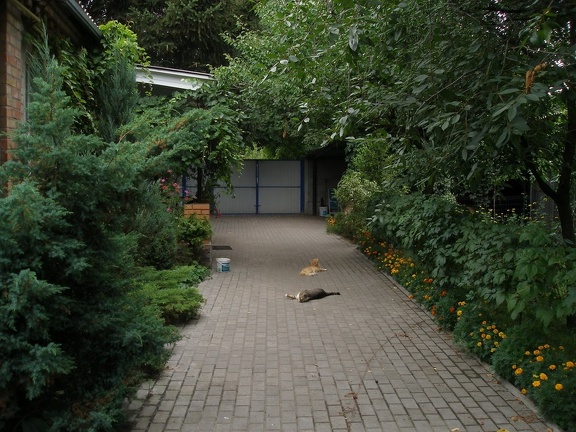 Коллекция Александра Животенко (Ирпень)