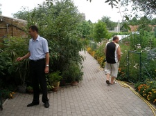 Коллекция Александра Животенко (Ирпень)