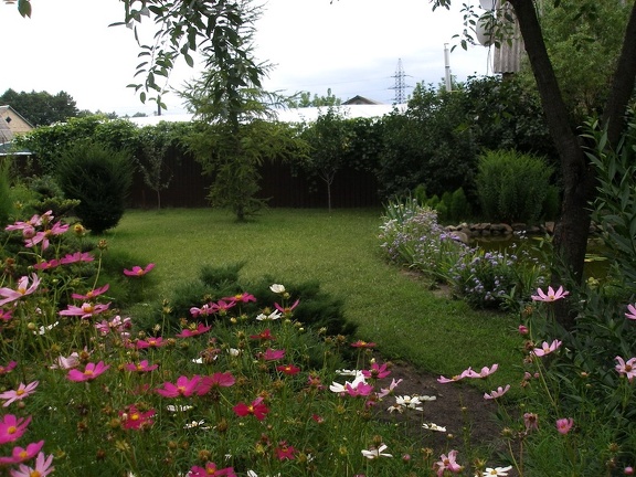 Коллекция Александра Животенко (Ирпень)